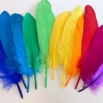 Craft Affair | Feathers for Dream Catcher