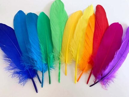 Craft Affair | Feathers for Dream Catcher