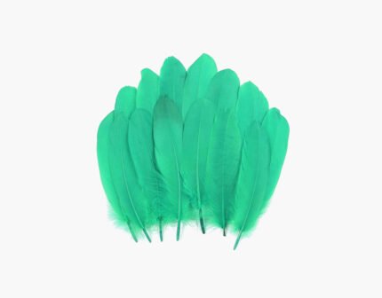 Craft Affair | Feathers 7inch