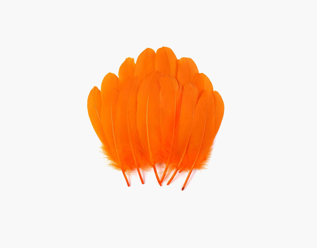 Craft Affair | Feathers 7inch